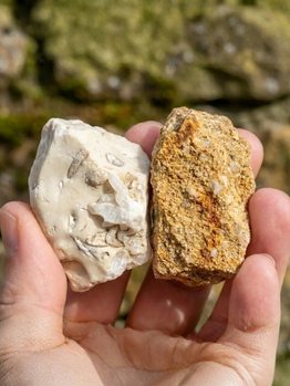 Limestone